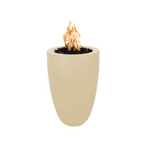 Natural GasAccess DoorBrown