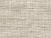 Textured WhiteBeachwoodBristol