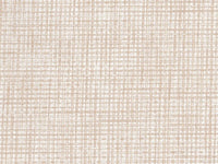 Textured Snow260 Fossil