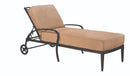 Woodard Apollo Chaise Lounge, Aged Teak, Garden Chairs, Lounge Chairs, Cushion, Apollo, Aluminum, Rectangular, 4 Legs, Outdoor