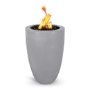 Natural GasAccess DoorAsh