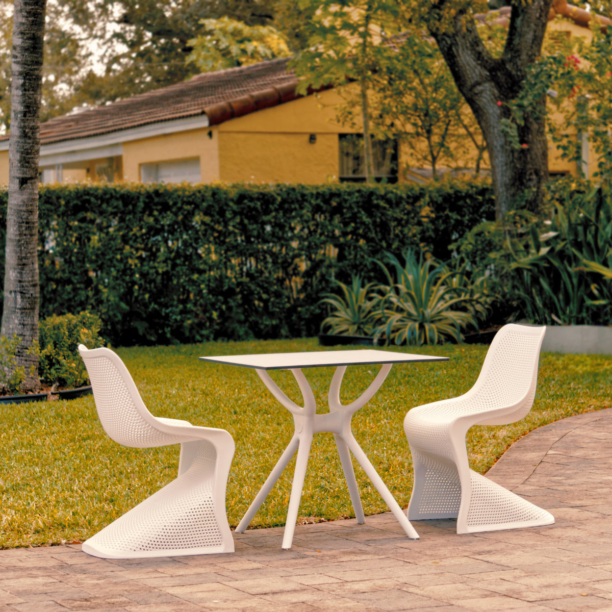 Compamia Bloom Dining Set with 2 Chairs White