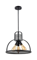 ZEEV Lighting Canton Pendant, Lighting, Indoor