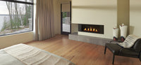 Napoleon Hearth Vector™ 38 Direct Vent Gas Fireplace
