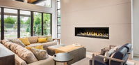 Napoleon Hearth Vector™ 74 Direct Vent Gas Fireplace